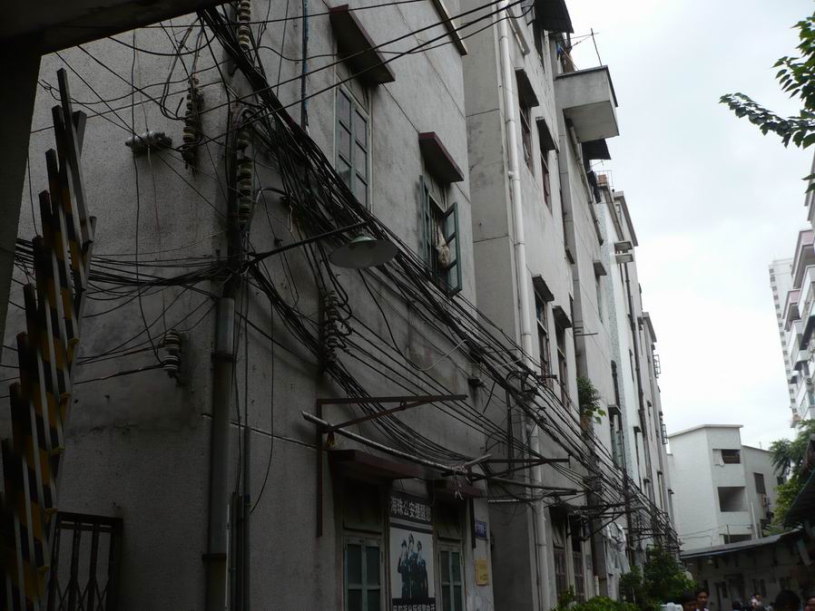 广州市海珠区河涌整治鉴定