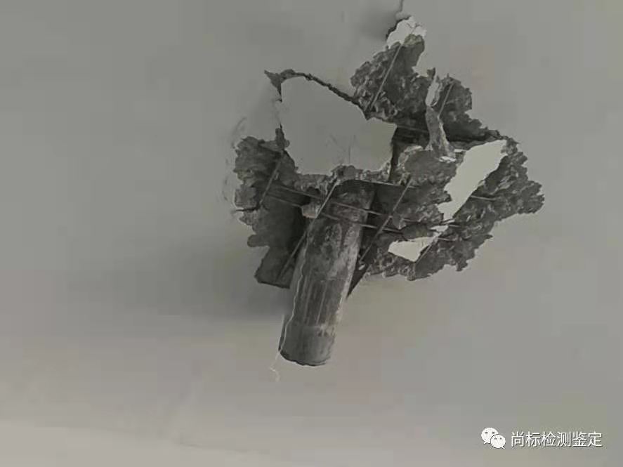 微信图片_20210310162745.jpg